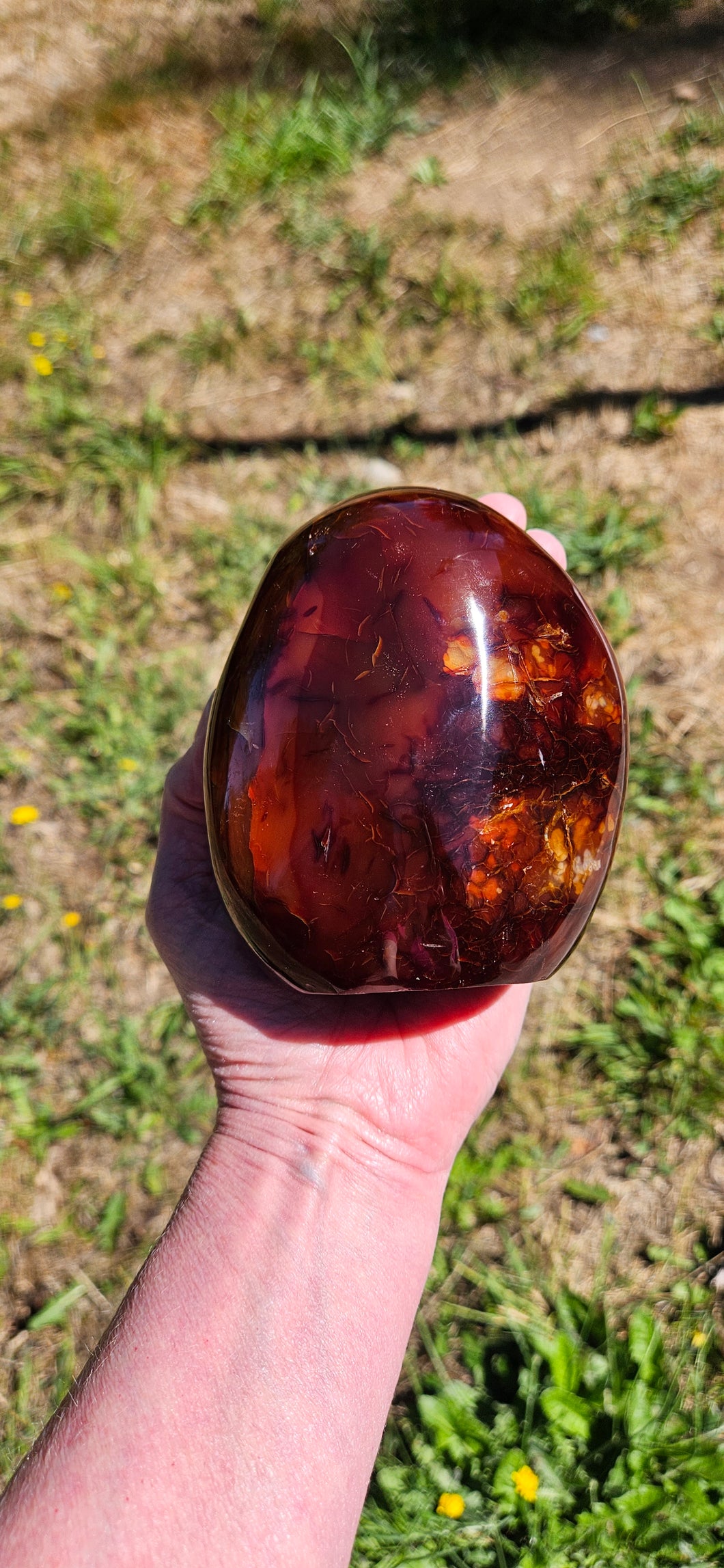 Carnelian Freeform