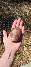 Load image into Gallery viewer, Petrified Wood Freeform
