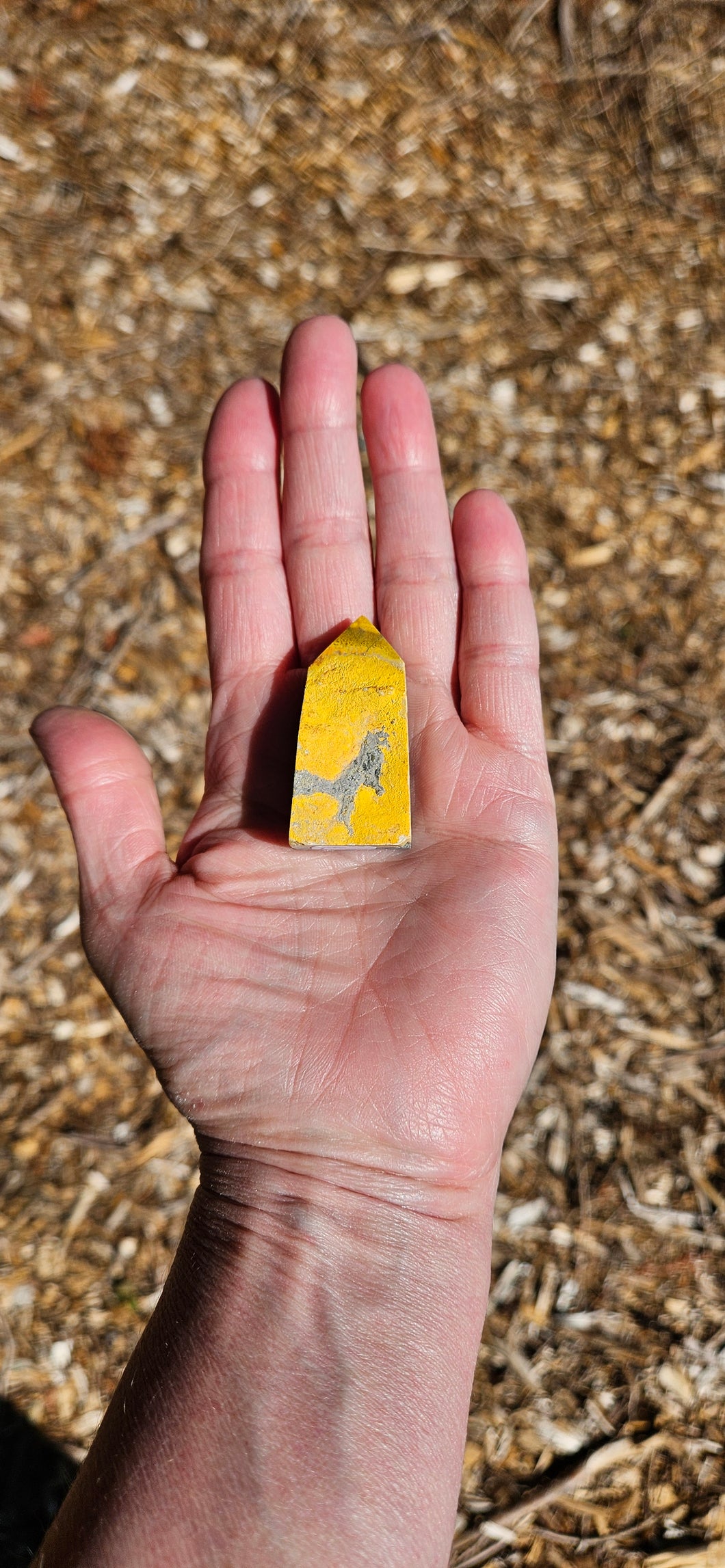 Bumblebee Jasper Point
