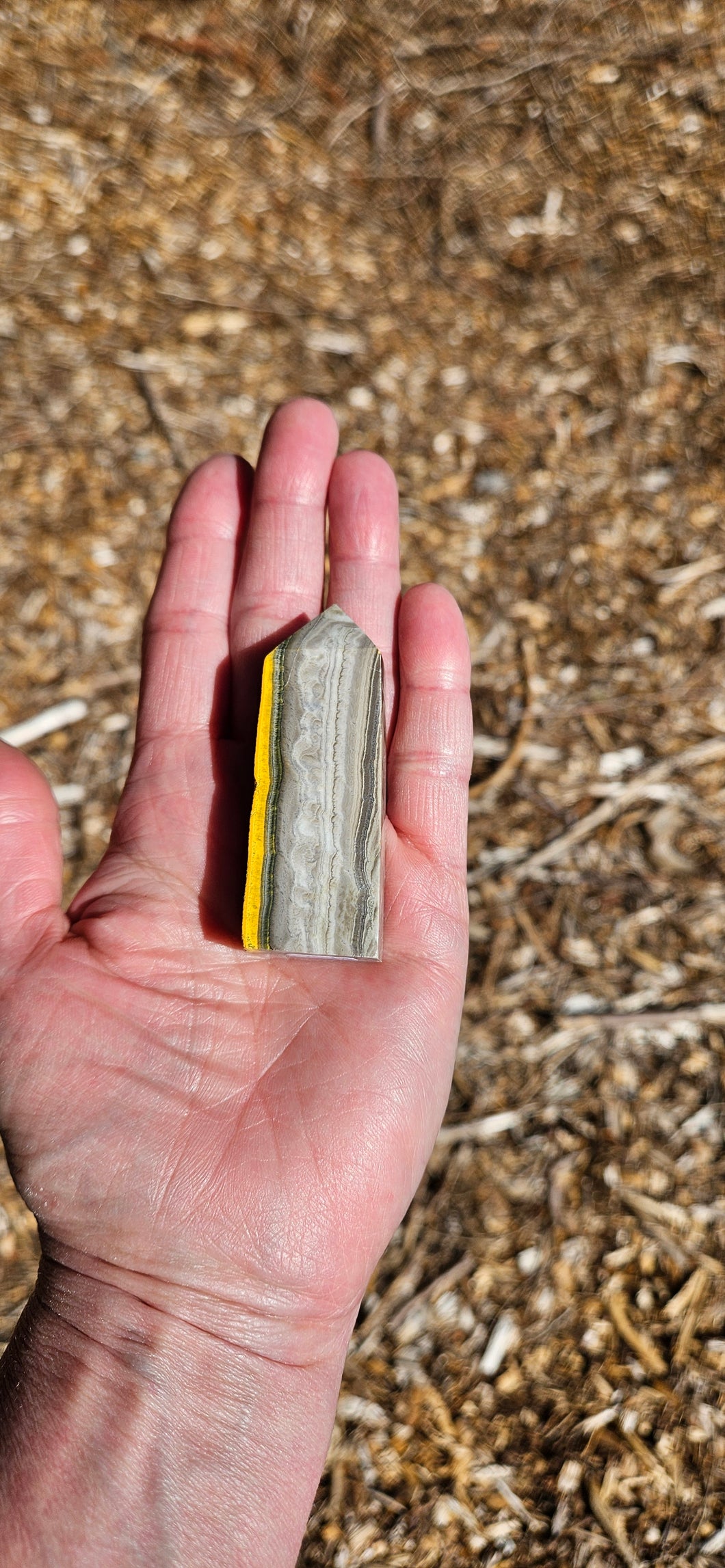 Bumblebee Jasper Point