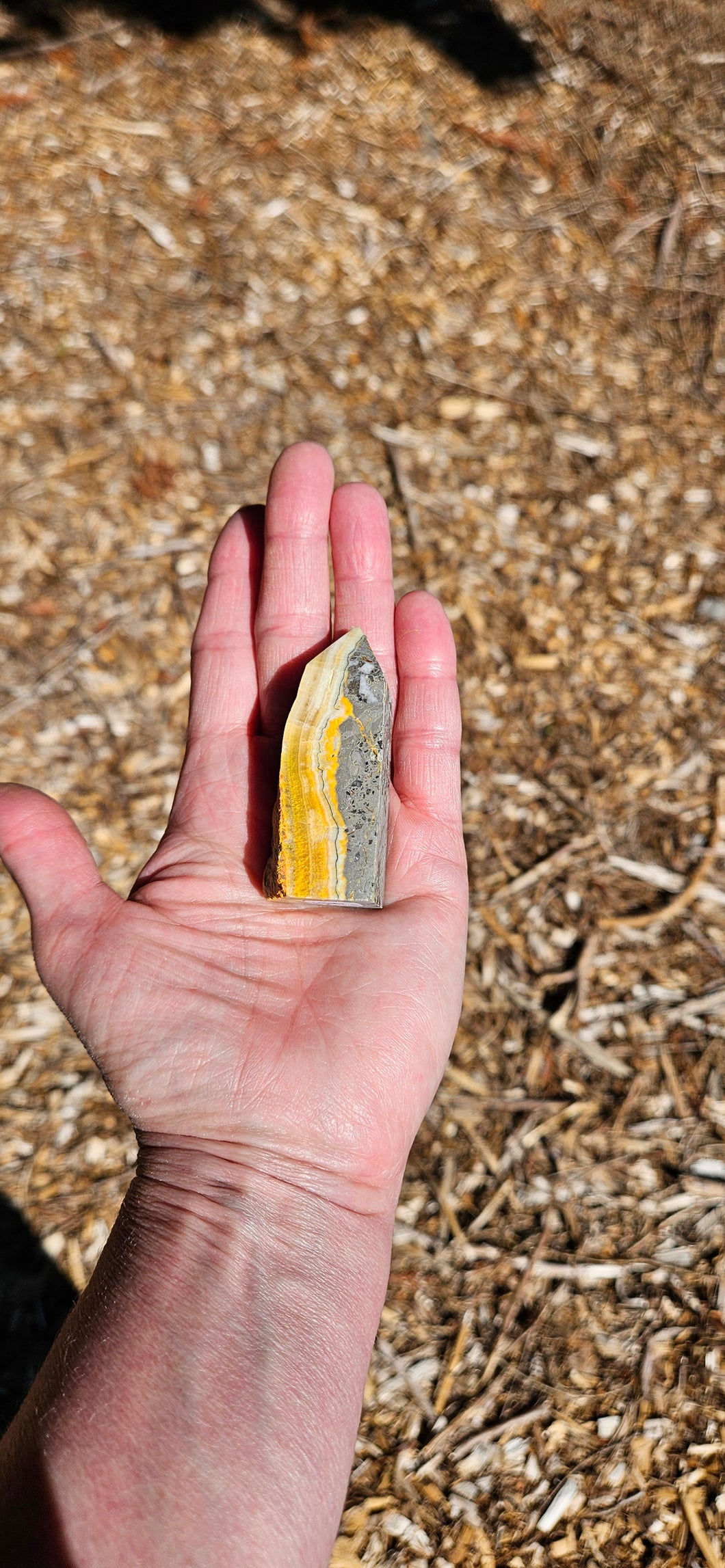 Bumblebee Jasper Point