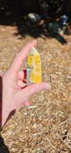 Load image into Gallery viewer, Bumblebee Jasper Point
