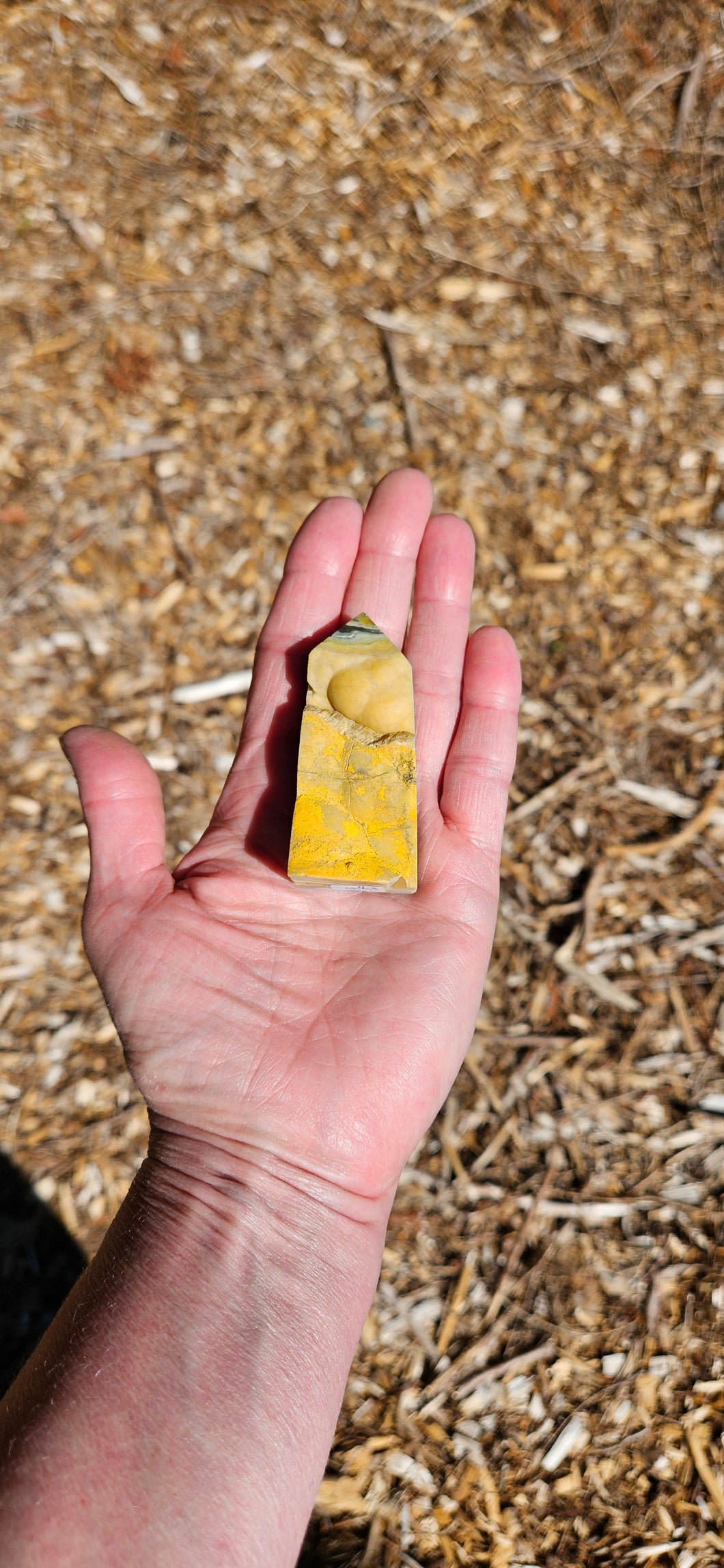 Bumblebee Jasper Point
