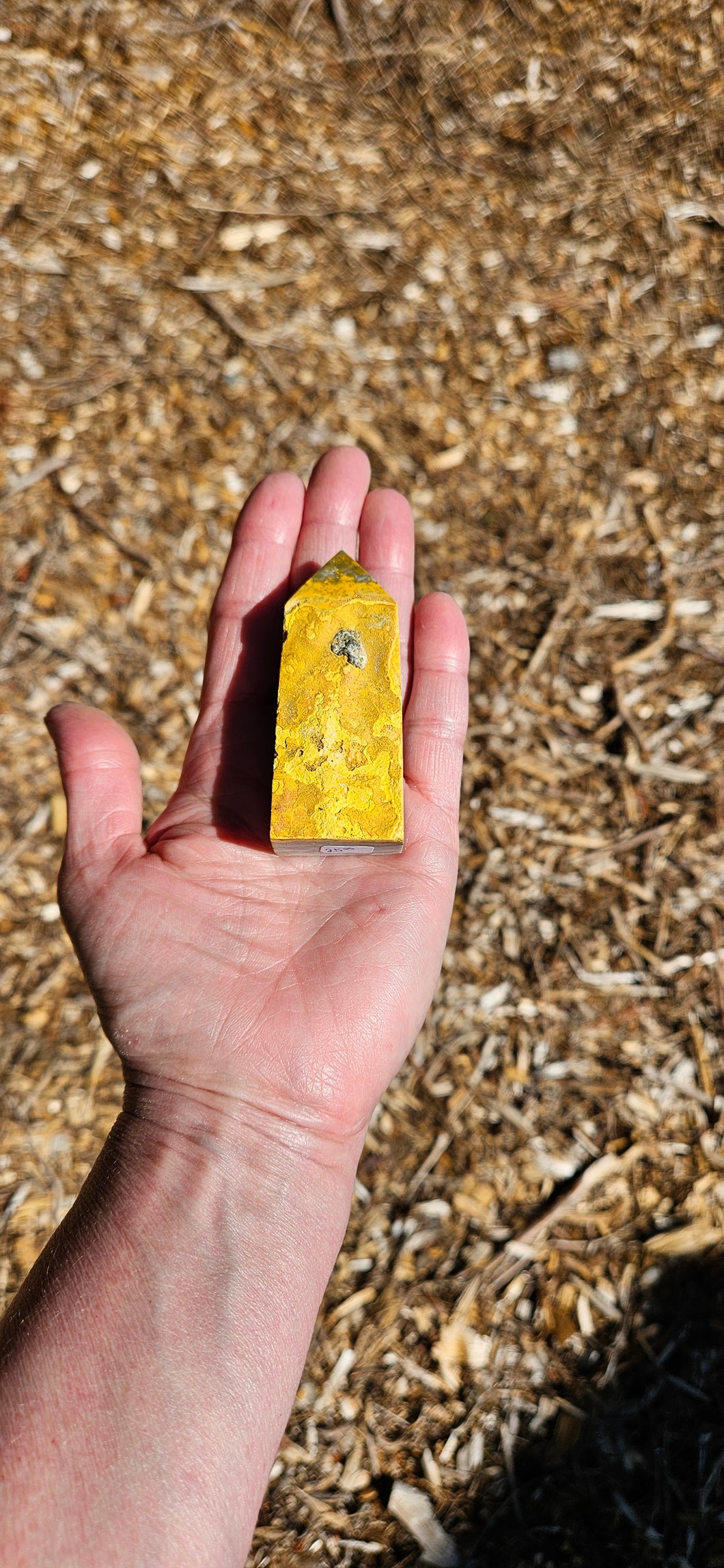 Bumblebee Jasper Point