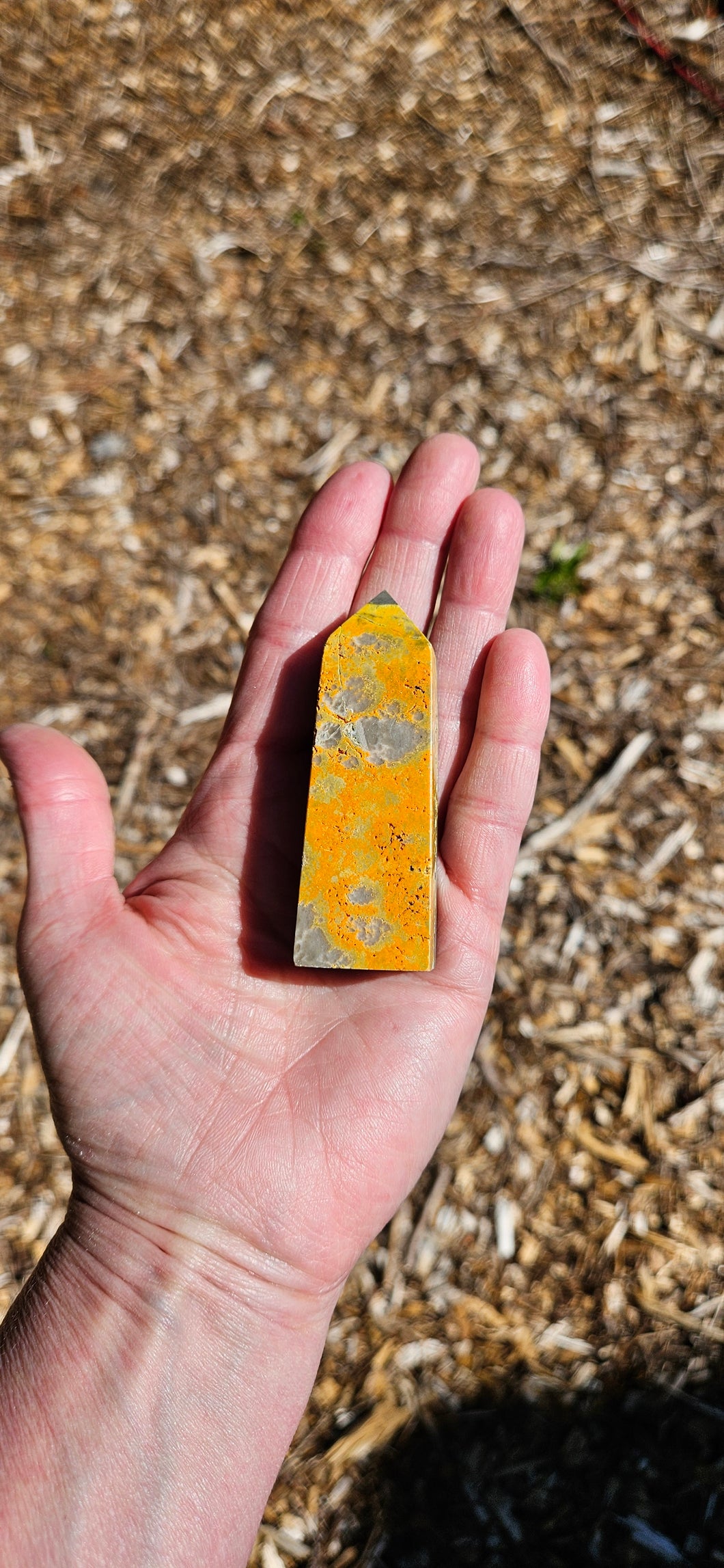 Bumblebee Jasper Point