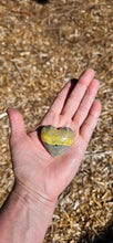 Load image into Gallery viewer, Bumblebee Jasper Hearts
