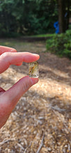 Load image into Gallery viewer, Lodolite Mini Points
