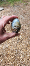 Load image into Gallery viewer, Dendritic Agate Egg
