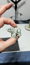 Load image into Gallery viewer, Kiwi Jasper Bear
