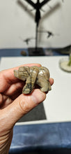 Load image into Gallery viewer, Serpentine Bear
