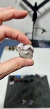 Load image into Gallery viewer, Amethyst Snail
