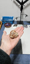 Load image into Gallery viewer, Aragonite Cluster
