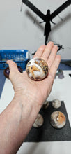 Load image into Gallery viewer, Money Agate Sphere
