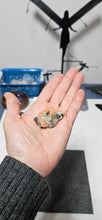 Load image into Gallery viewer, Cerussite Barite &amp; Galena Specimen
