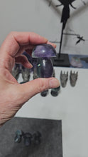 Load and play video in Gallery viewer, Rainbow Fluorite Mushroom
