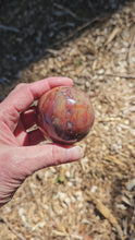 Load and play video in Gallery viewer, Petrified Wood Sphere
