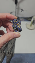 Load and play video in Gallery viewer, Azurite - Malachite Specimen
