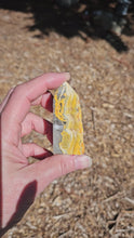 Load and play video in Gallery viewer, Bumblebee Jasper Point
