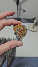 Load and play video in Gallery viewer, Azurite - Malachite Specimen
