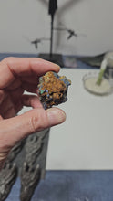 Load and play video in Gallery viewer, Azurite - Malachite Specimen
