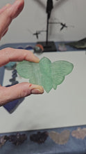 Load and play video in Gallery viewer, Green Fluorite Moth
