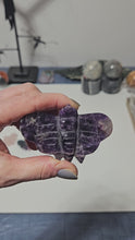 Load and play video in Gallery viewer, Amethyst Moth
