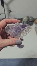 Load and play video in Gallery viewer, Amethyst Moth
