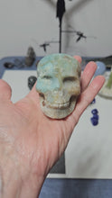 Load and play video in Gallery viewer, Caribbean Calcite Skull

