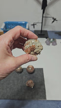 Load and play video in Gallery viewer, Aragonite Cluster
