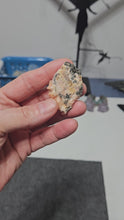Load and play video in Gallery viewer, Cerussite Barite &amp; Galena Specimen
