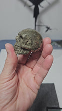 Load and play video in Gallery viewer, Pyrite Skull
