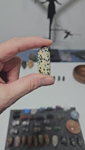 Load and play video in Gallery viewer, Dalmatian Jasper Mini Point
