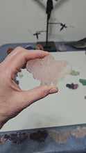 Load and play video in Gallery viewer, Rose Quartz Moth
