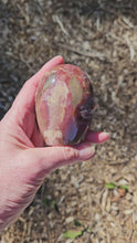Load and play video in Gallery viewer, Petrified Wood Freeform
