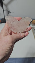 Load and play video in Gallery viewer, Rose Quartz Moth
