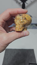 Load and play video in Gallery viewer, Crazy Lace Agate Alien Head
