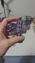 Load and play video in Gallery viewer, Amethyst Moth
