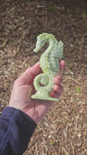 Load and play video in Gallery viewer, Serpentine Seahorse

