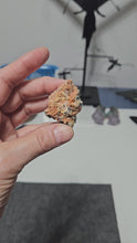 Load and play video in Gallery viewer, Cerussite Barite &amp; Galena Specimen
