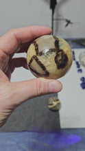 Load and play video in Gallery viewer, Septarian Sphere
