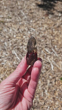 Load and play video in Gallery viewer, Smoky Quartz  Point

