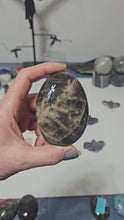 Load and play video in Gallery viewer, Black Moonstone Palm Stone
