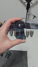 Load and play video in Gallery viewer, Rainbow Fluorite Mushroom
