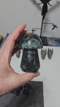 Load and play video in Gallery viewer, Rainbow Fluorite Mushroom
