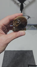 Load and play video in Gallery viewer, Tiger Eye Alien Head
