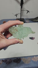Load and play video in Gallery viewer, Green Fluorite Moth
