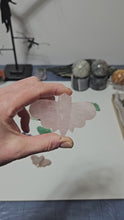 Load and play video in Gallery viewer, Rose Quartz Moth
