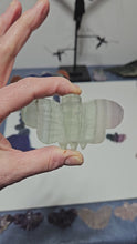 Load and play video in Gallery viewer, Green Fluorite Moth
