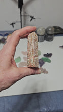 Load and play video in Gallery viewer, Leopard Skin Jasper Point
