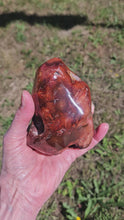 Load and play video in Gallery viewer, Carnelian Freeform
